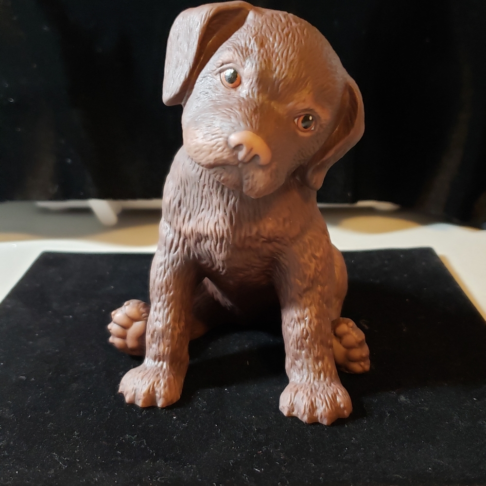 LENOX, The Little Labrador Retriever